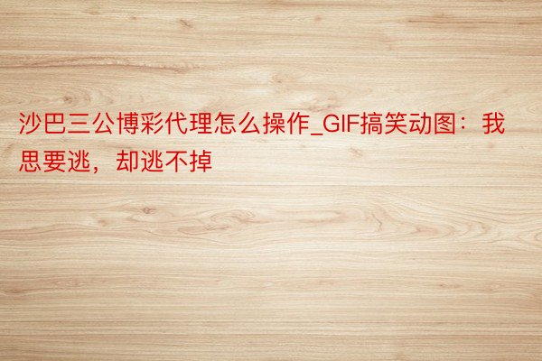 沙巴三公博彩代理怎么操作_GIF搞笑动图：我思要逃，却逃不掉